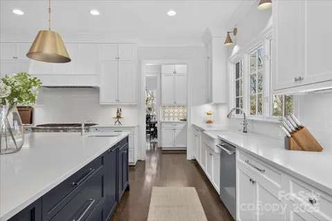 a kitchen with a sink counter top space cabinets and stainless steel appliances