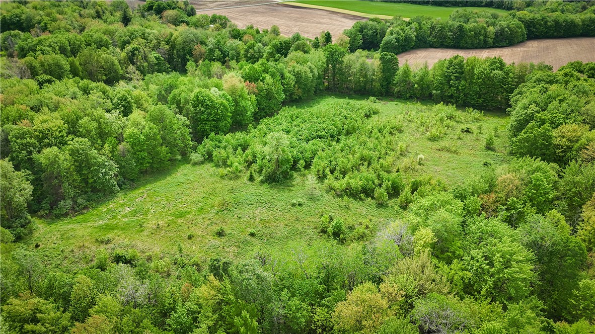 Gifford Road Hannibal, NY 13074 - Photo 25 of 50