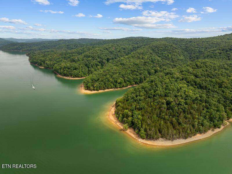 976 Livingston Boatdock Road Allons, TN 38541 - Photo 17 of 21 gedwill use 22