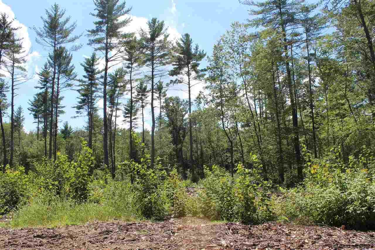 Old Bend Road Fort Edward, NY 12828 - Photo 15 of 16 Photo 15