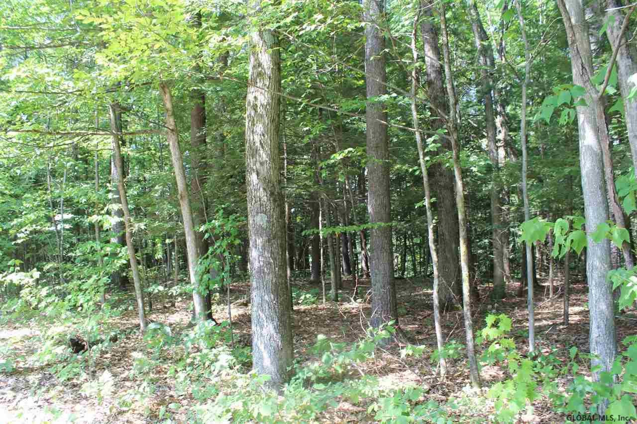 Old Bend Road Fort Edward, NY 12828 - Photo 4 of 16 Photo 4