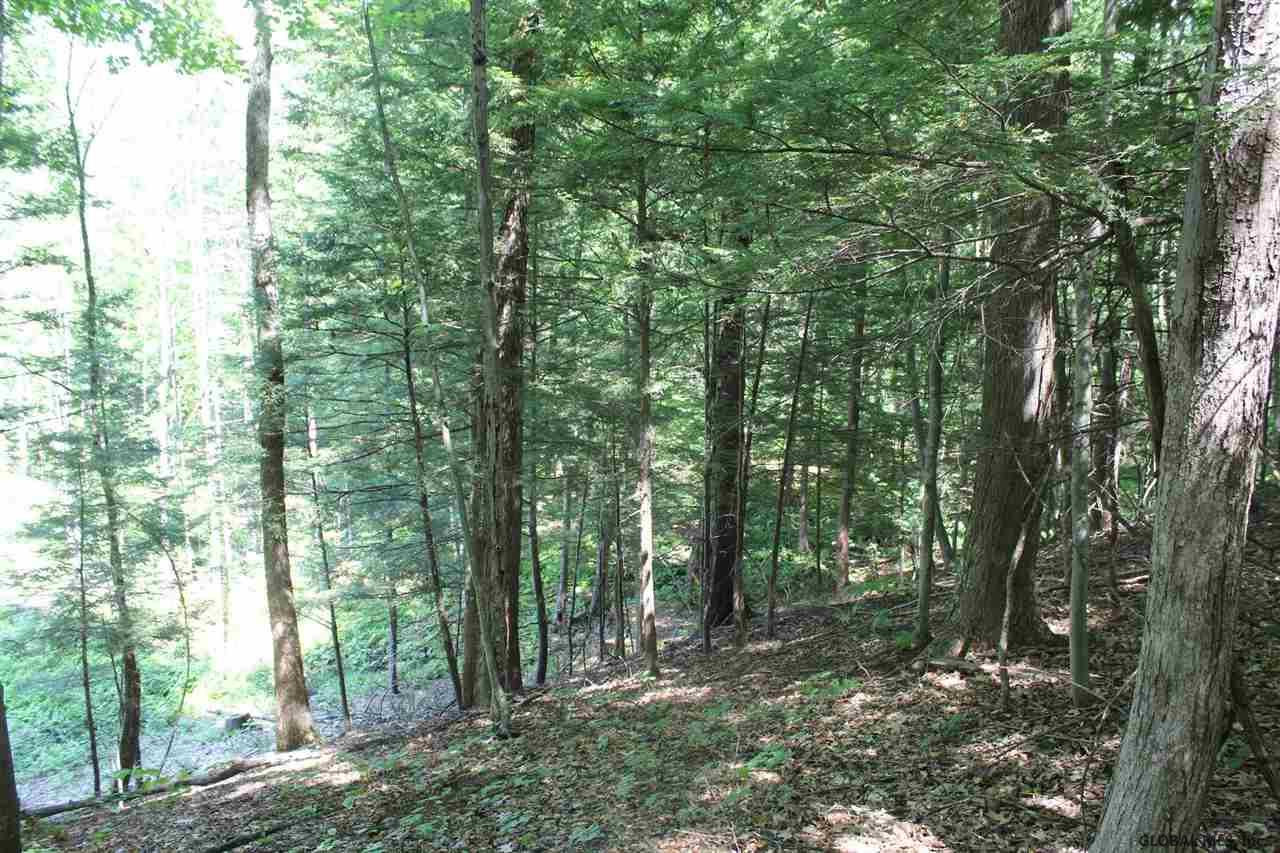 Old Bend Road Fort Edward, NY 12828 - Photo 5 of 16 Photo 5