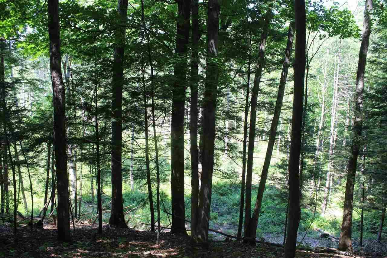 Old Bend Road Fort Edward, NY 12828 - Photo 6 of 16 Photo 6