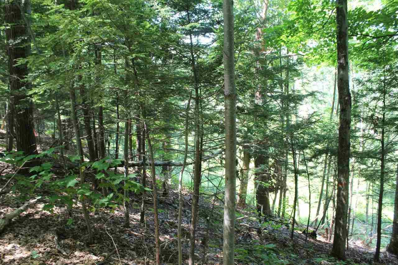 Old Bend Road Fort Edward, NY 12828 - Photo 7 of 16 Photo 7