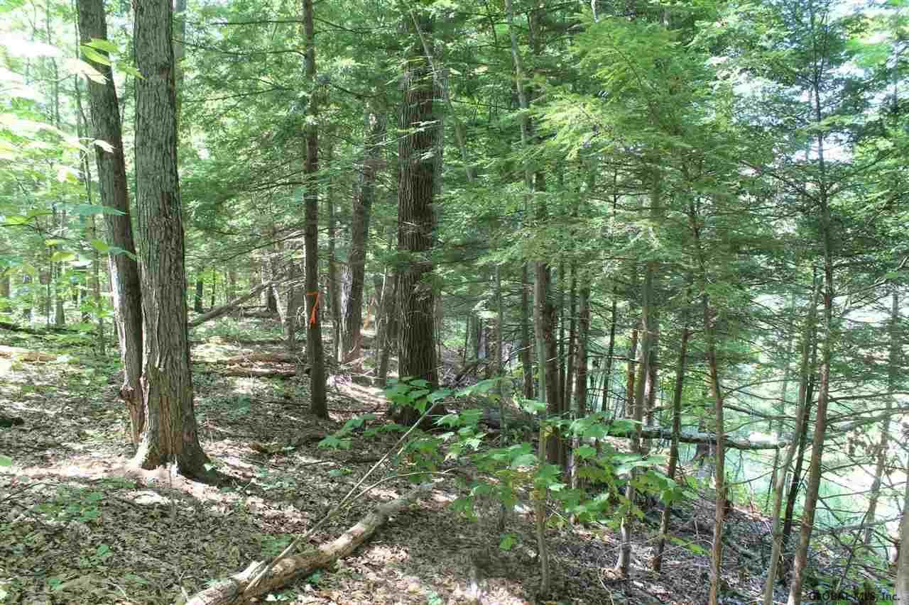 Old Bend Road Fort Edward, NY 12828 - Photo 8 of 16 Photo 8