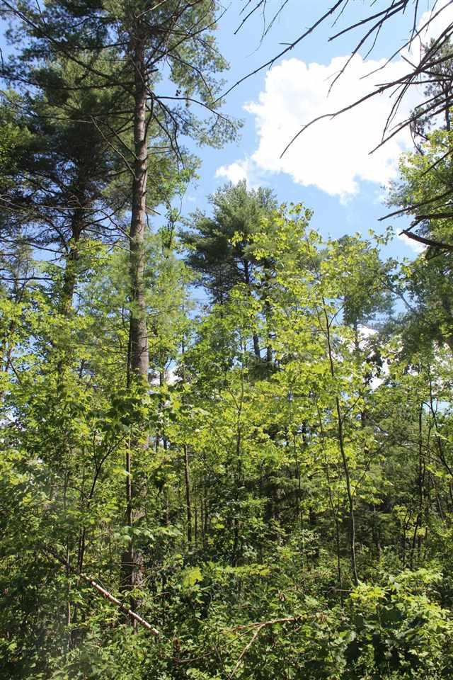 Old Bend Road Fort Edward, NY 12828 - Photo 10 of 16 Photo 10