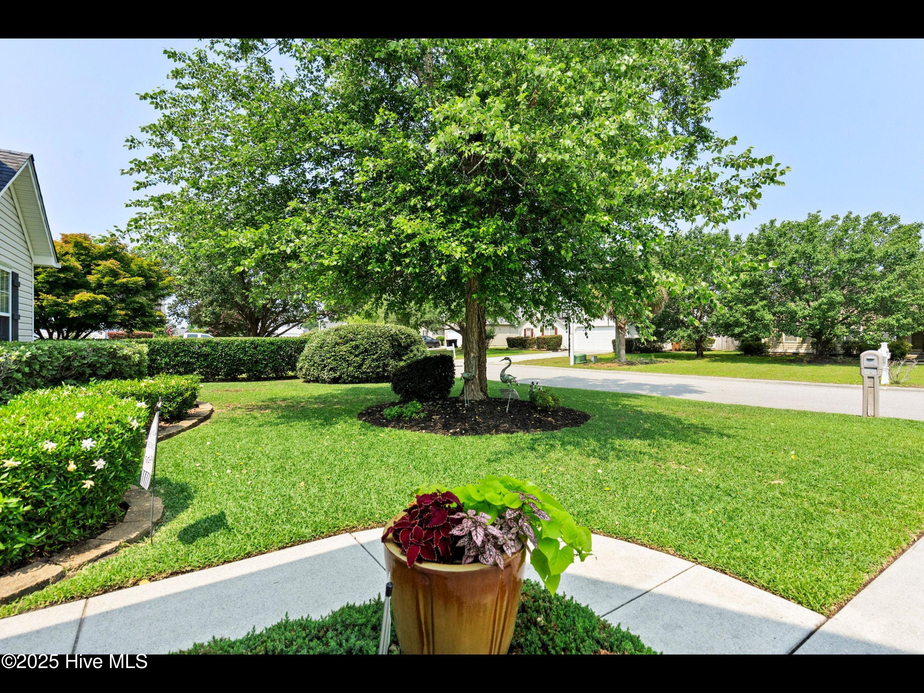 1204 Maple Ridge Road Wilmington, NC 28411 - Photo 89 of 95 mls-DSC08225