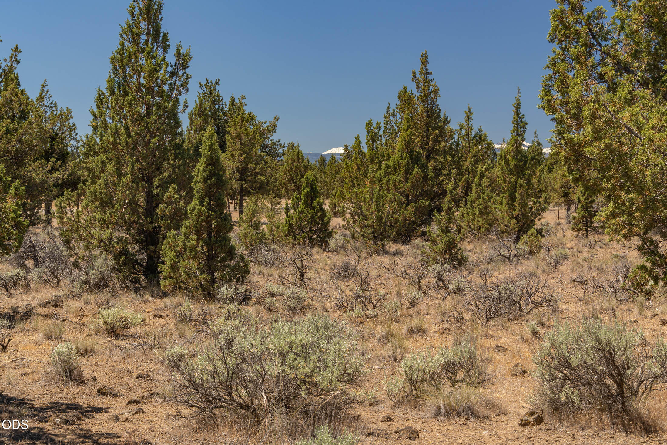 0 Southwest Blue Jay Road Terrebonne, OR 97760 - Photo 7 of 14