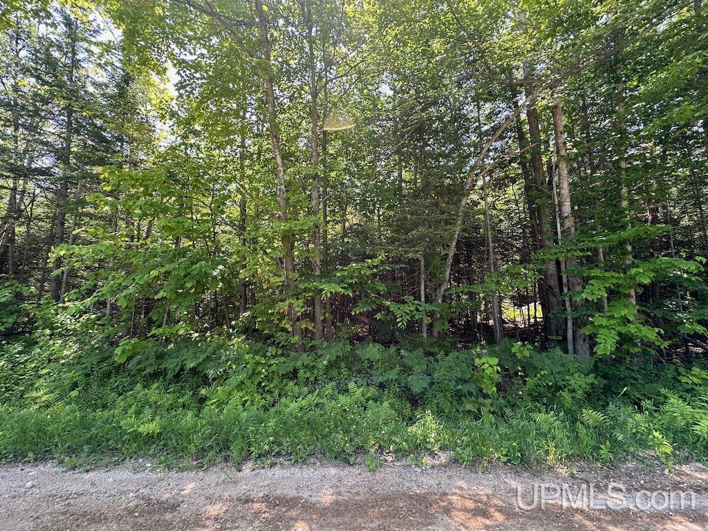 Parcel B Webb Road Grand Marais, MI 49839 - Photo 1 of 28
