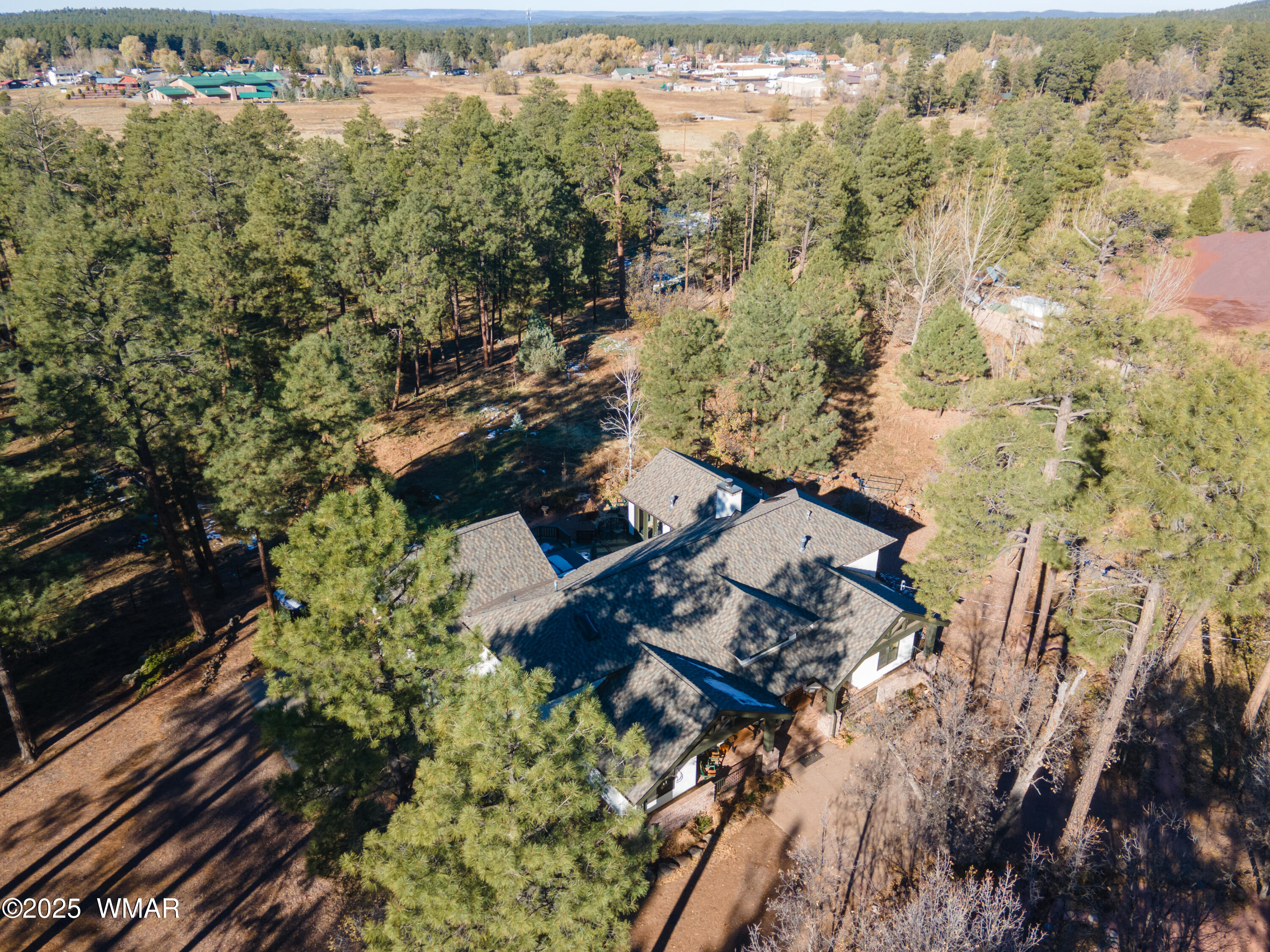 1994 Pine Lake Road Pinetop, AZ 85935 - Photo 65 of 67 New roof with warrenty