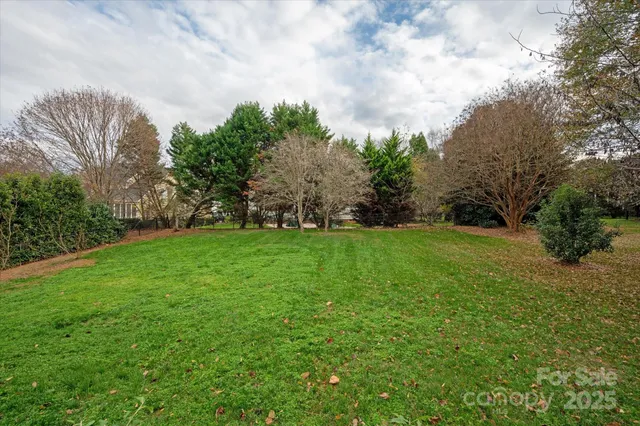 a green field with trees in the background