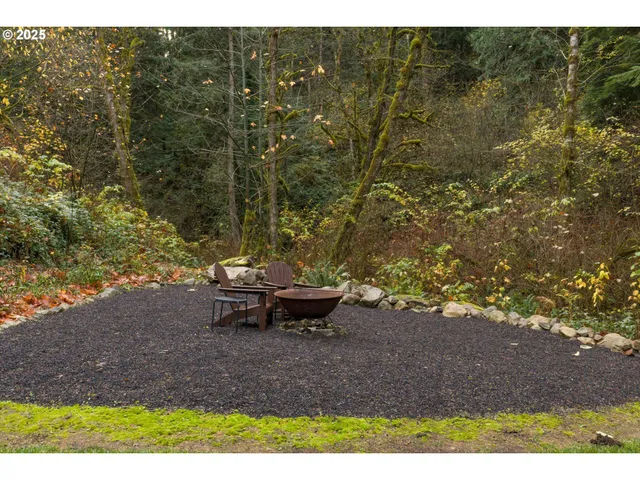 a view of a backyard with plants