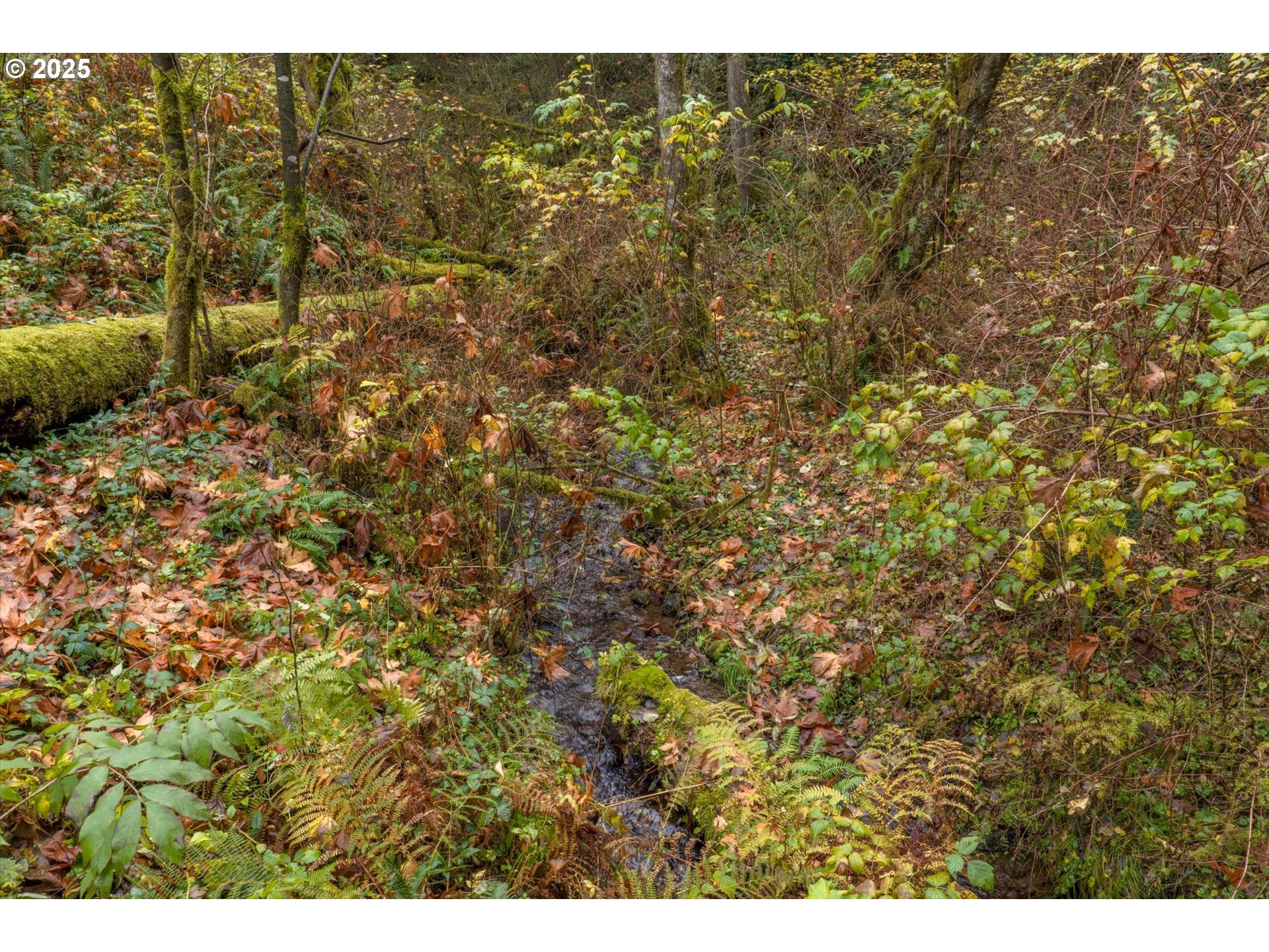 52604 East Sylvan Drive Sandy, OR 97055 - Photo 35 of 39