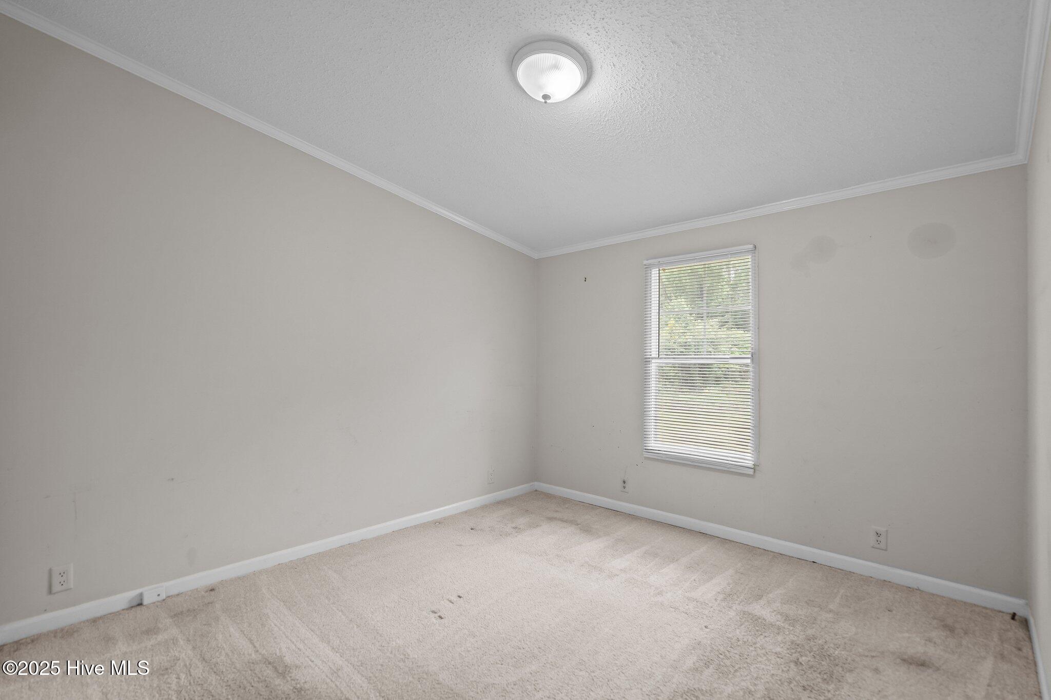 7586 Old River Road Burgaw, NC 28425 - Photo 25 of 48 40-web-or-mls-DSC04556