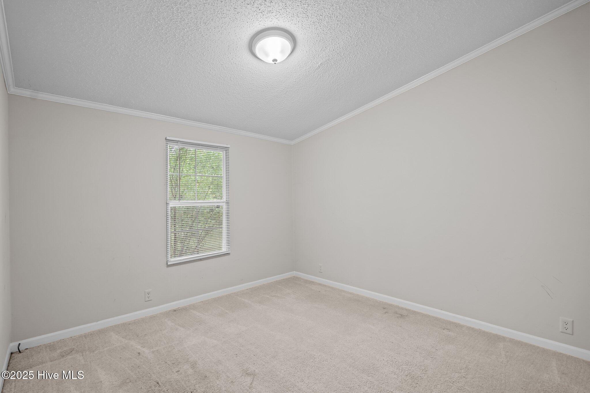 7586 Old River Road Burgaw, NC 28425 - Photo 28 of 48 43-web-or-mls-DSC04568