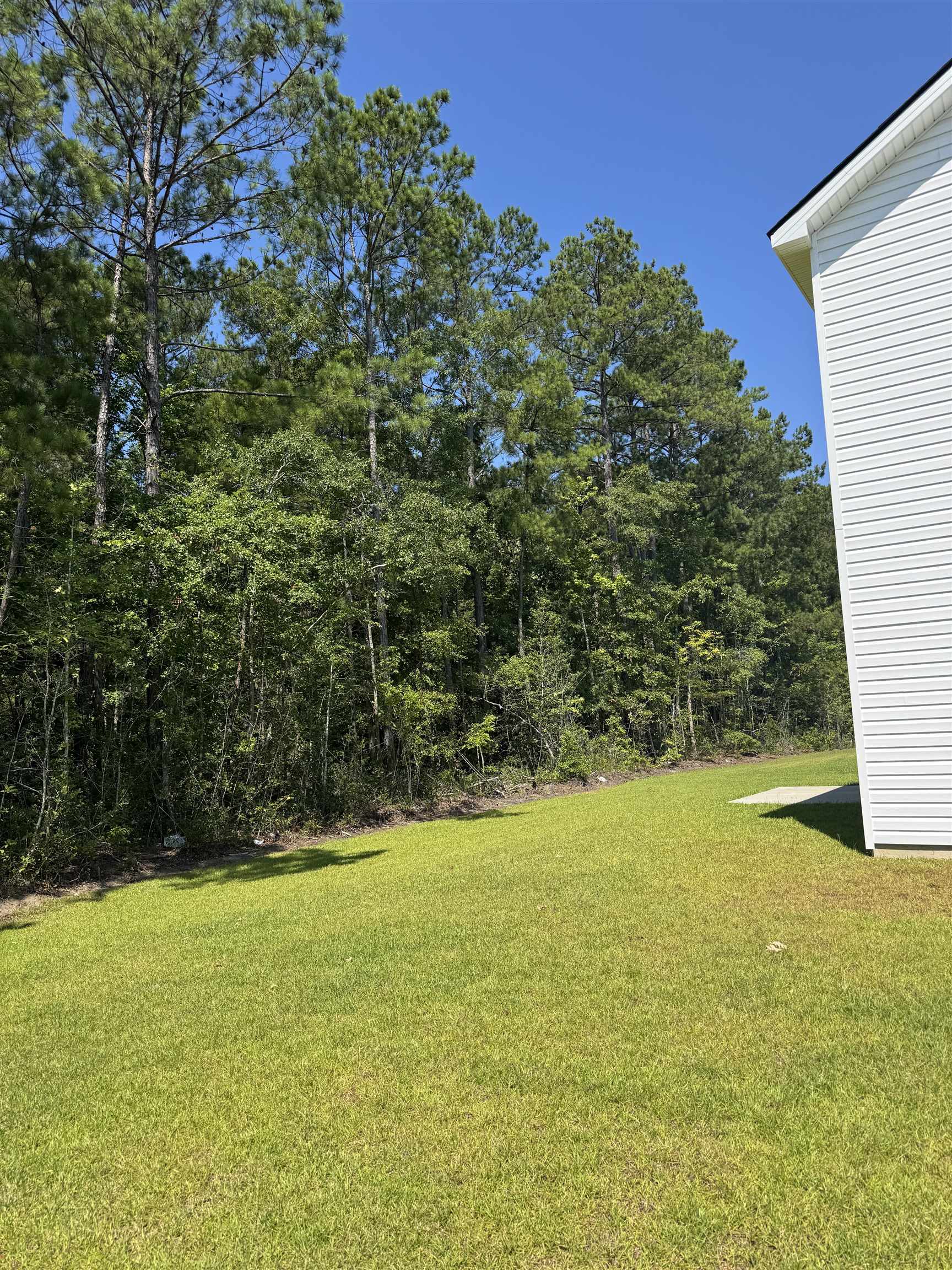 431 Falling Leaf Loop Myrtle Beach, SC 29588 - Photo 3 of 25