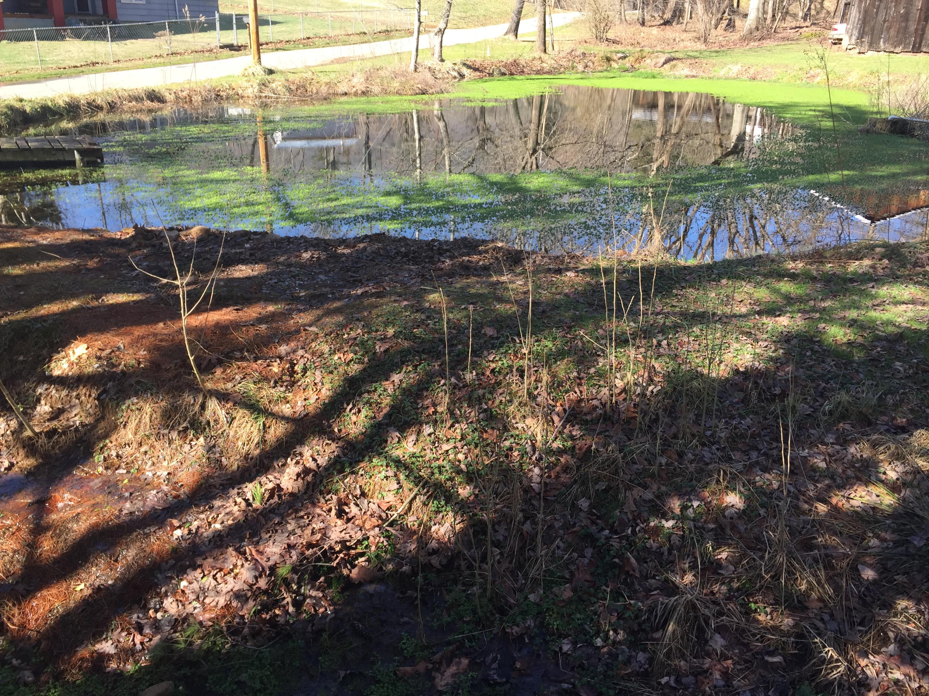 145 Estep Hollow Road Elizabethton, TN 37643 - Photo 12 of 42 145 estep 25