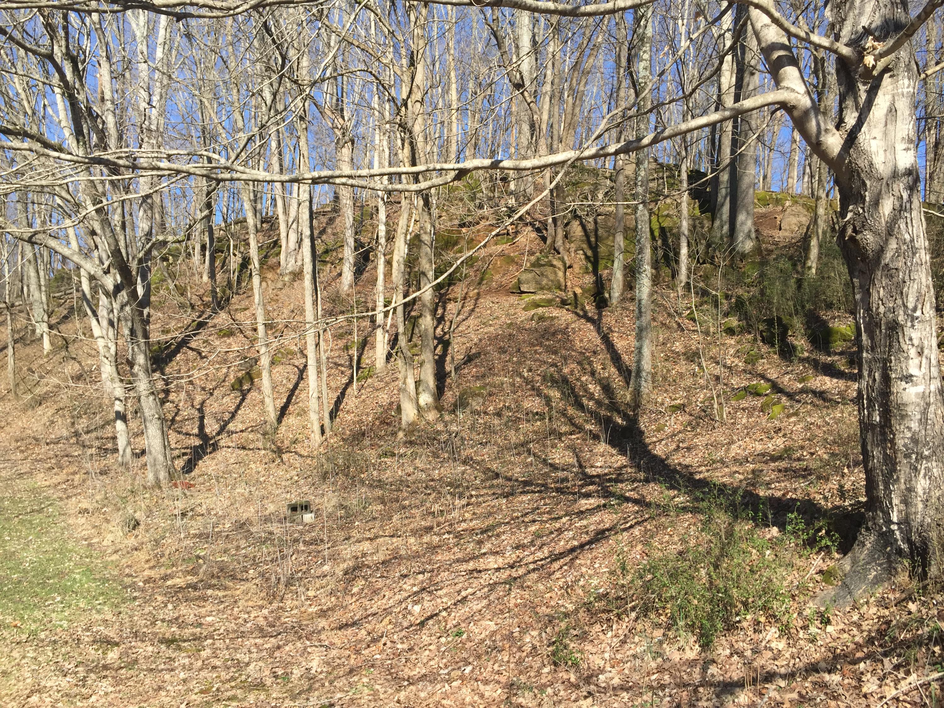 145 Estep Hollow Road Elizabethton, TN 37643 - Photo 15 of 42 145 Estep 32