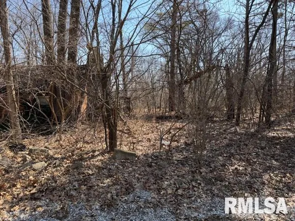 $106,000 | 14-15 16 Deer Crossing Lane, Petersburg, IL 62675