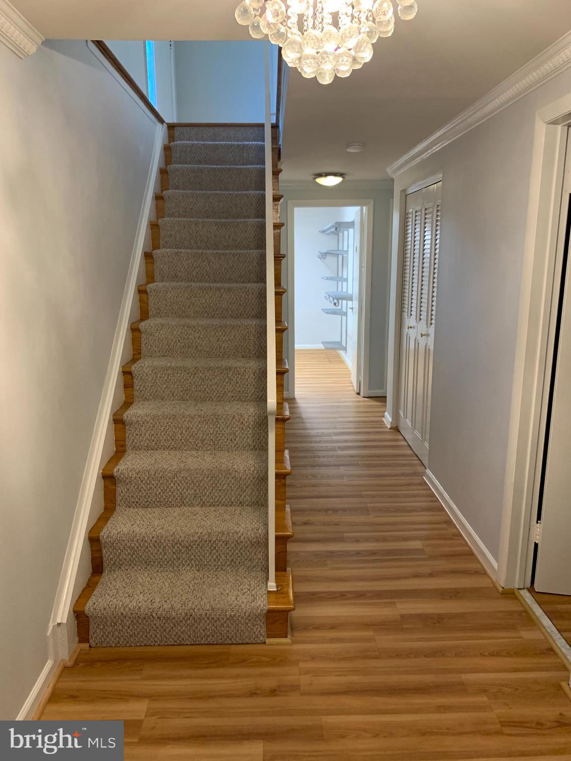 6401 Rivington Road Springfield, VA 22152 - Photo 15 of 30