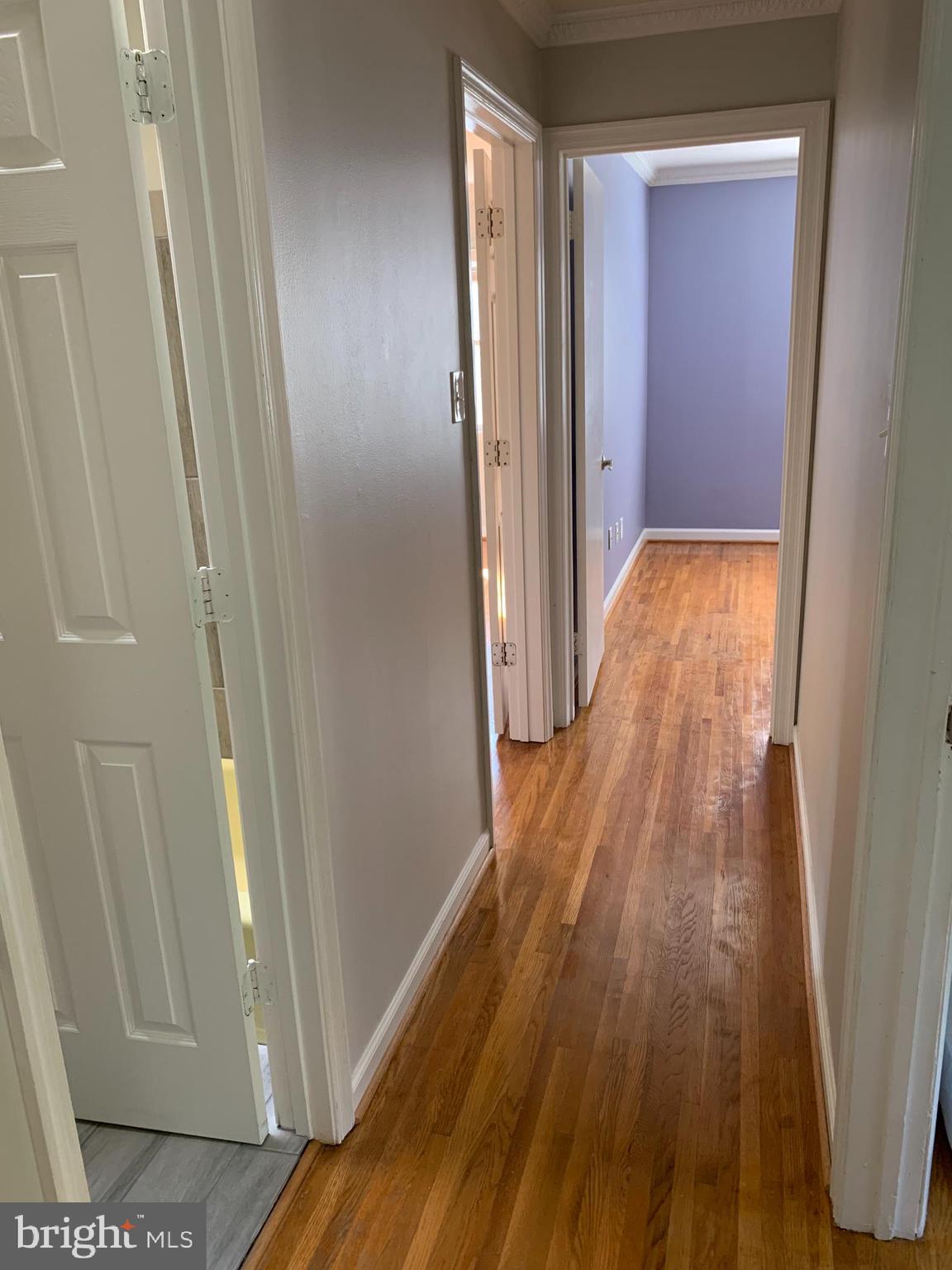 6401 Rivington Road Springfield, VA 22152 - Photo 6 of 30