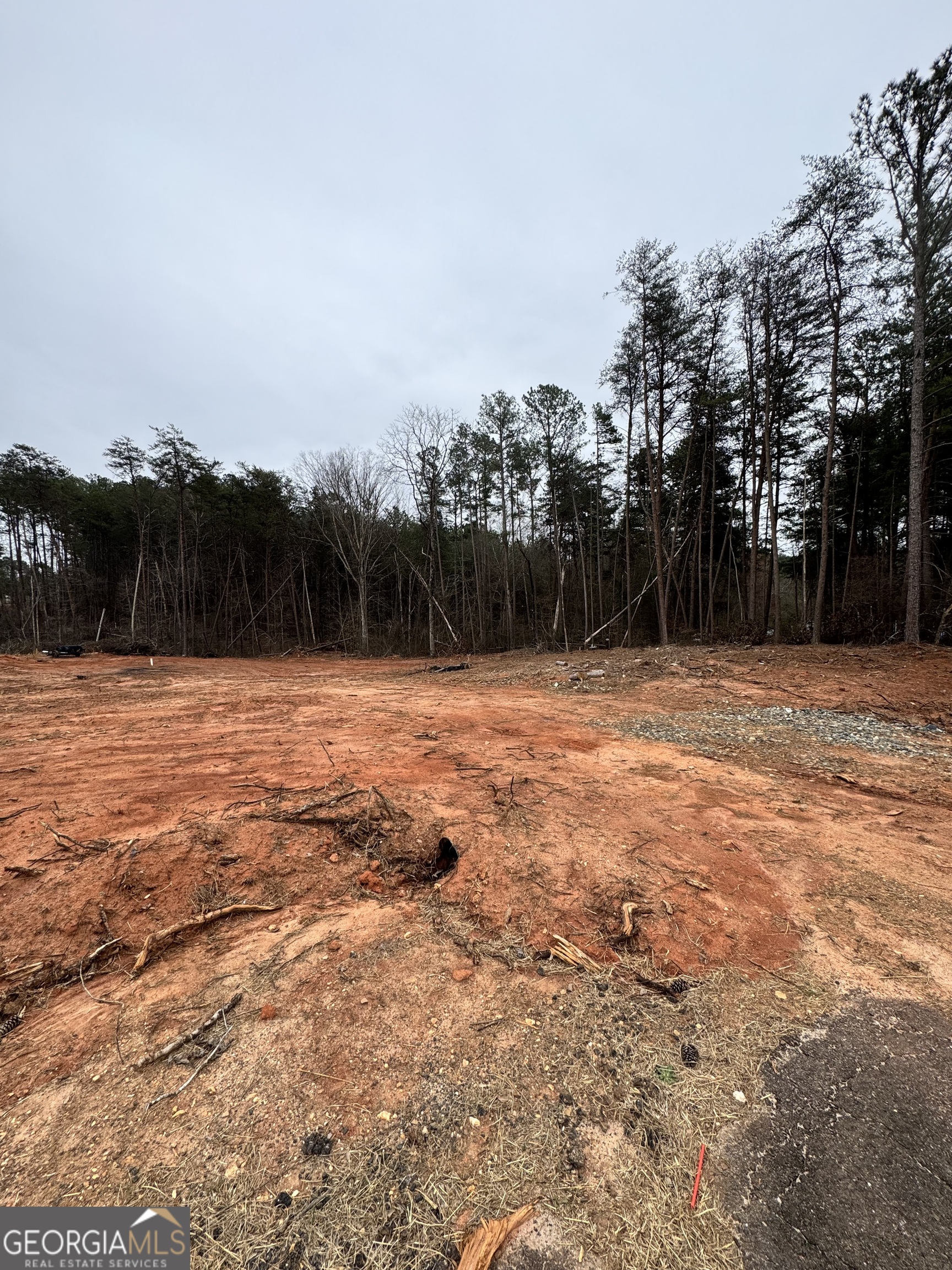 0 Scott Road Eastanollee, GA 30538 - Photo 4 of 4 a view of basketball court