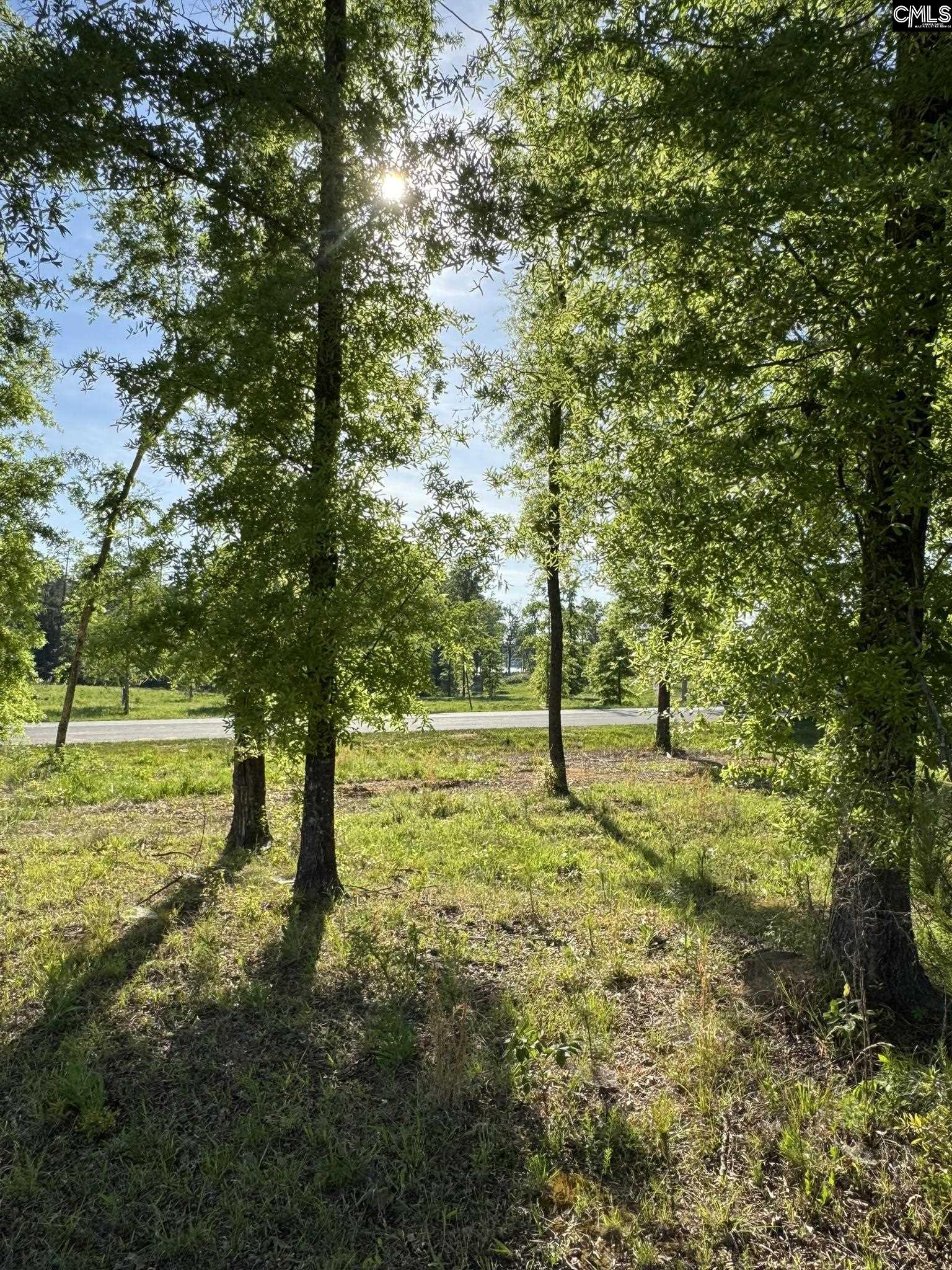 238 Navigator Trail Prosperity, SC 29127 - Photo 7 of 22