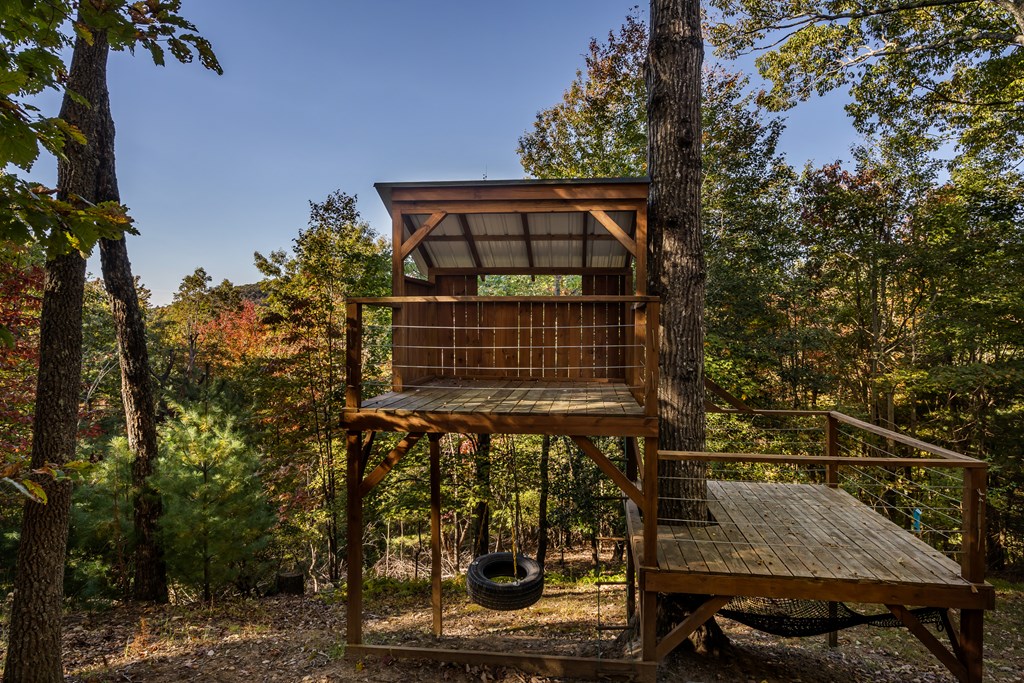 357 Skyline Drive Cherry Log, GA 30522 - Photo 53 of 55