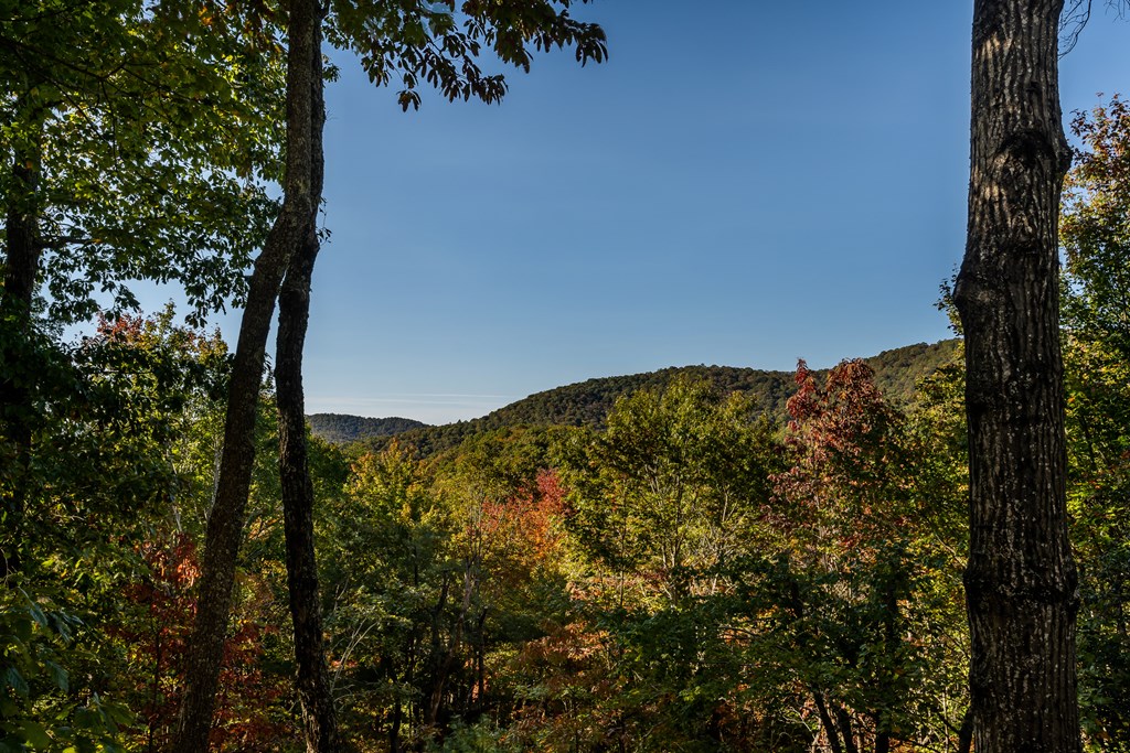 357 Skyline Drive Cherry Log, GA 30522 - Photo 54 of 55