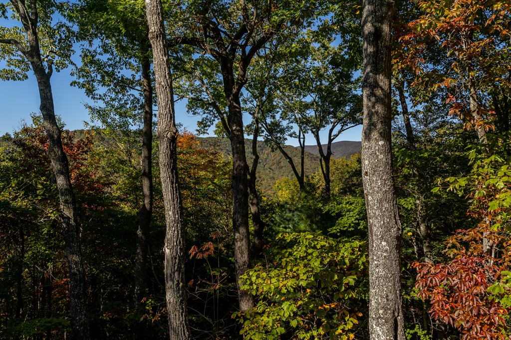 357 Skyline Drive Cherry Log, GA 30522 - Photo 55 of 55