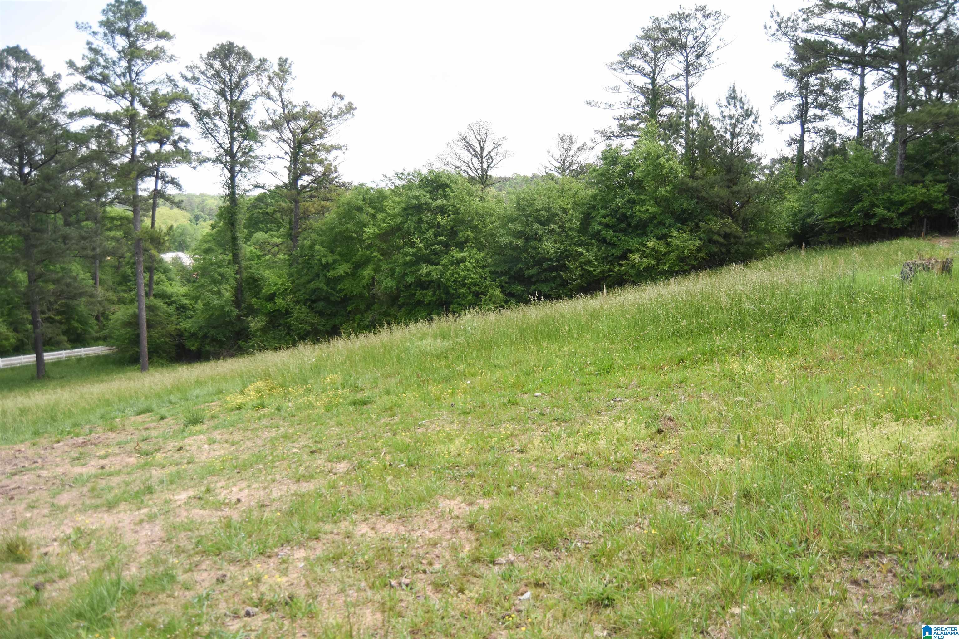 121 Barker Street Anniston, AL 36201 - Photo 43 of 44