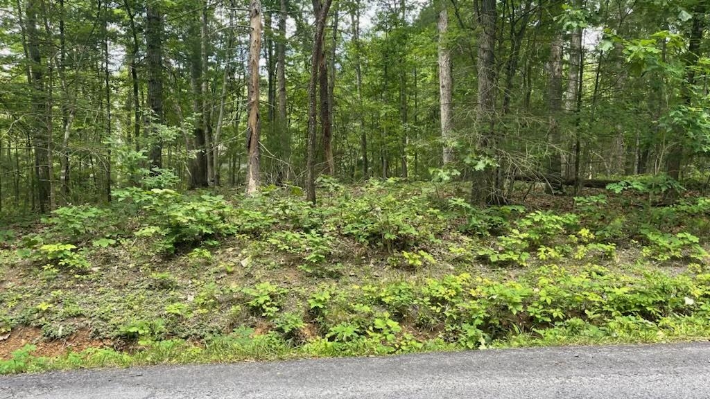 Pin Oak Rd Mount Mount Jackson, VA 22842 - Photo 2 of 2 Gallery Image 2