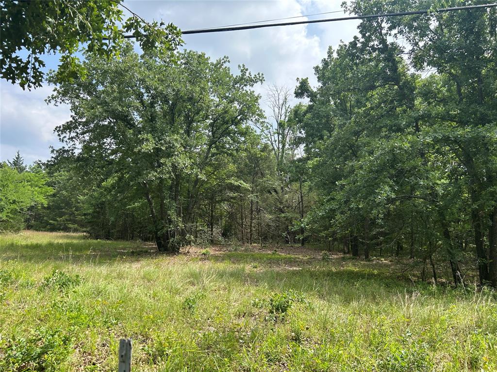 Lot 1 North Shore Road Quinlan, TX 75474 - Photo 1 of 8