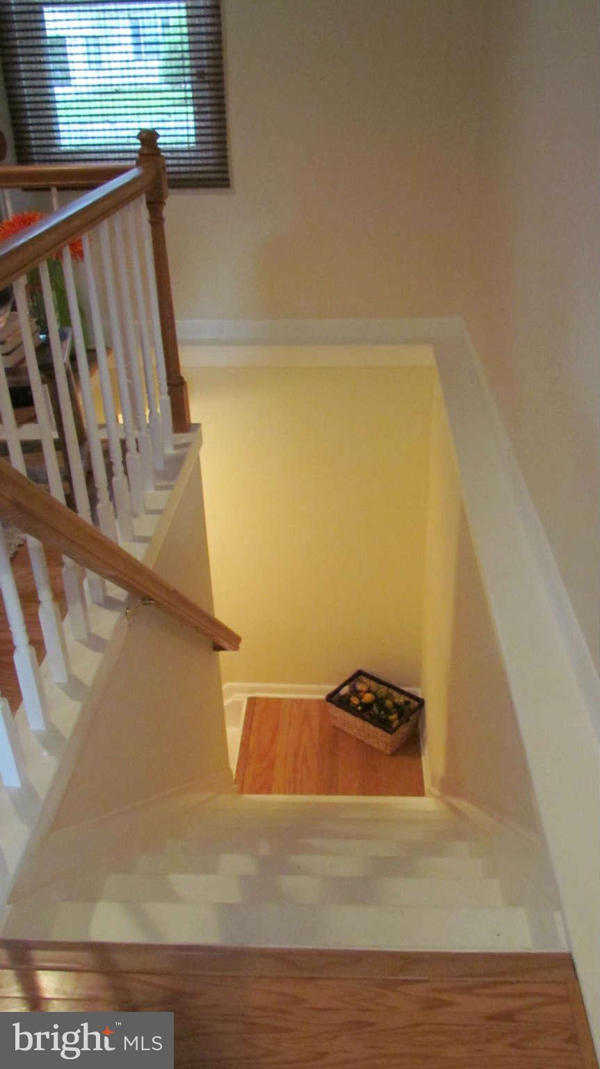 7864 Elizabeth Road Pasadena, MD 21122 - Photo 22 of 30 Staircase to Cellar Below