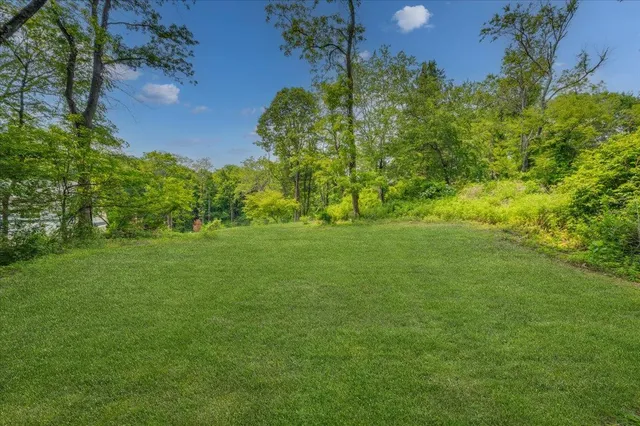 a view of a trees with a yard