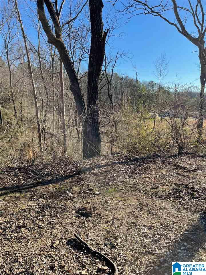 0 Post Oak Road, Unit 20 Anniston, AL 36206 - Photo 4 of 5