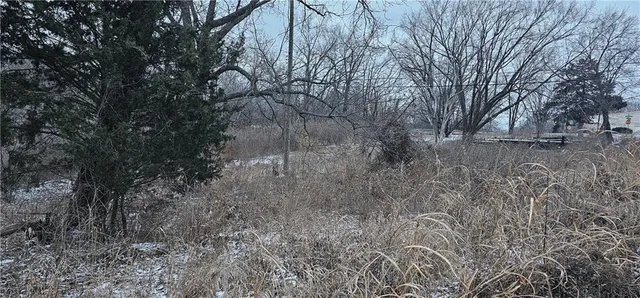 $39,000 | Willis-crisp Avenue Independence Mo 64053, Kansas City, MO 64125