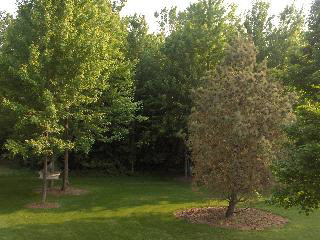 2428 Samaria Road Temperance, MI 48182 - Photo 5 of 16 766820-4.JPG