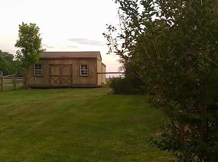 1146 Littleton Ranch Road Castalian Springs, TN 37031 - Photo 19 of 21 Gallery Image 19