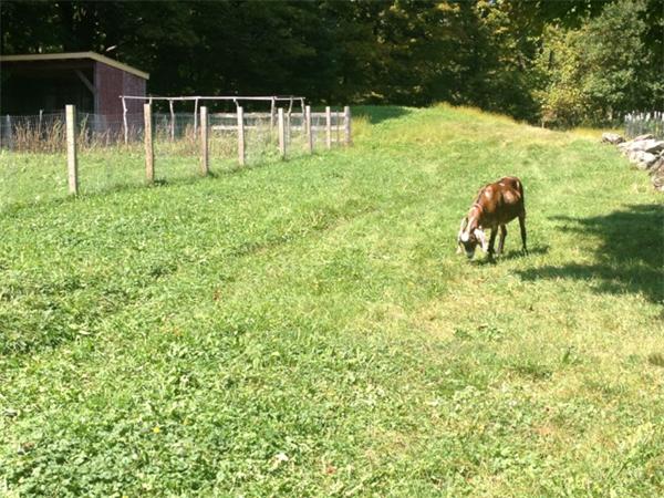 190 Creamery Road Ashfield, MA 01330 - Photo 28 of 29