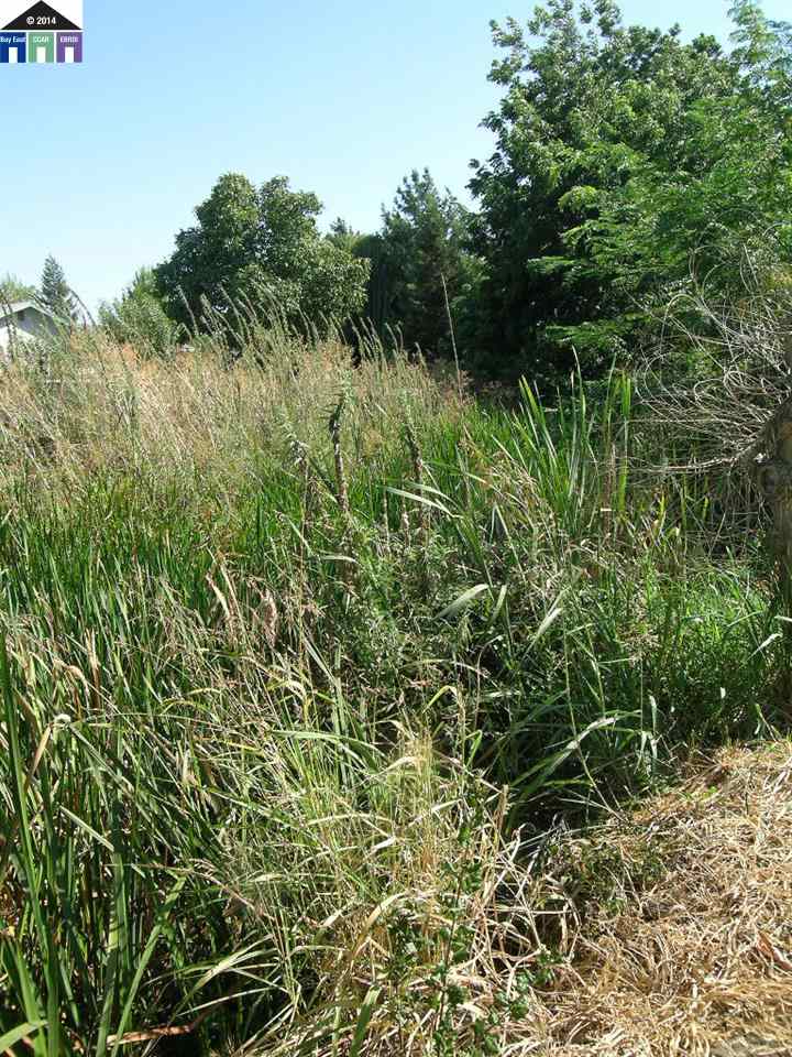 681 Tyler Island Bridge Road Isleton, CA 95641 - Photo 20 of 24 a view of a plants and a plant in the background