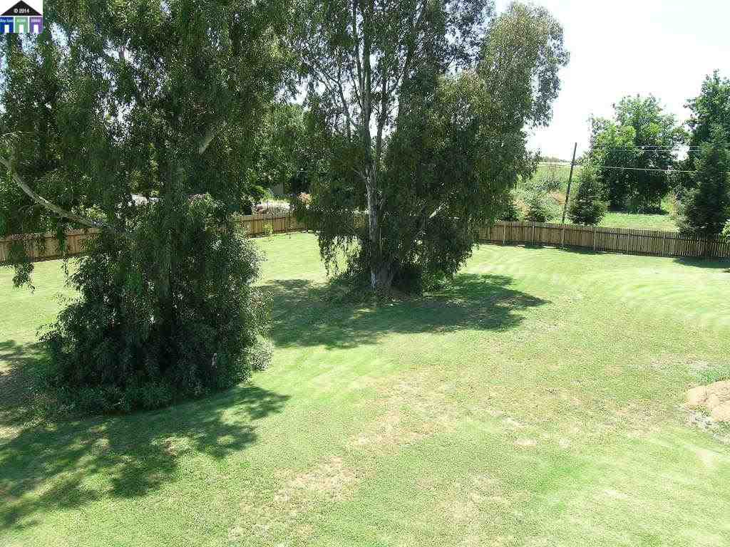681 Tyler Island Bridge Road Isleton, CA 95641 - Photo 5 of 24 a backyard of a house with lots of green space