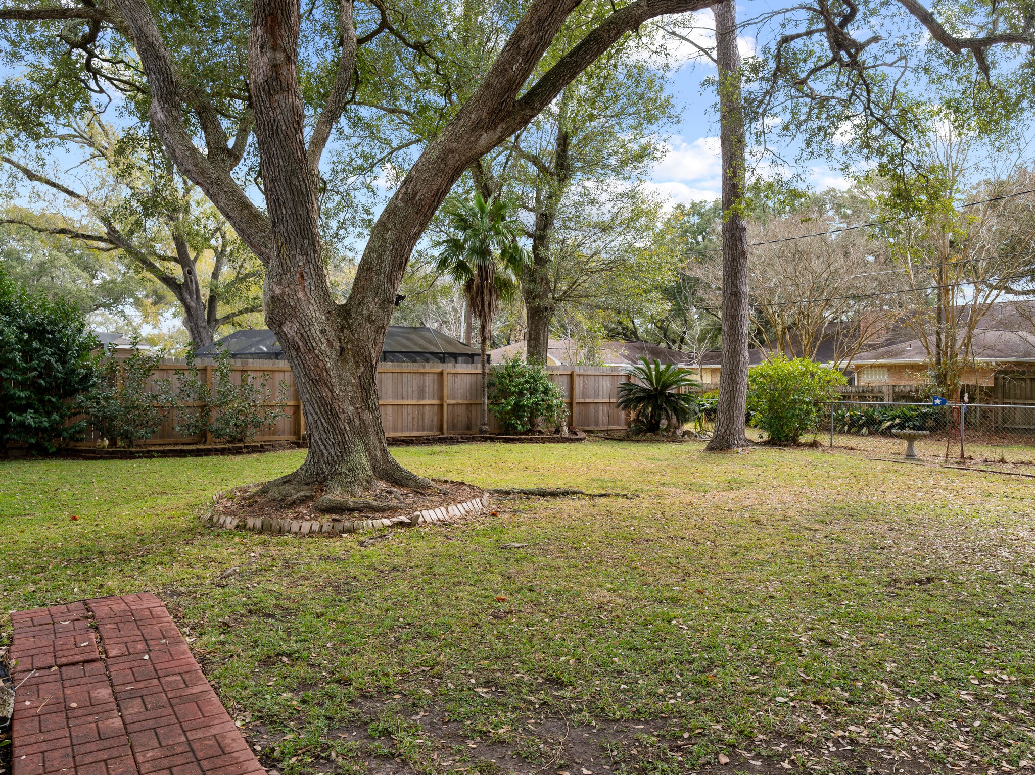 910 6th Street Bay City, TX 77414 - Photo 5 of 34 a view of a yard with a tree