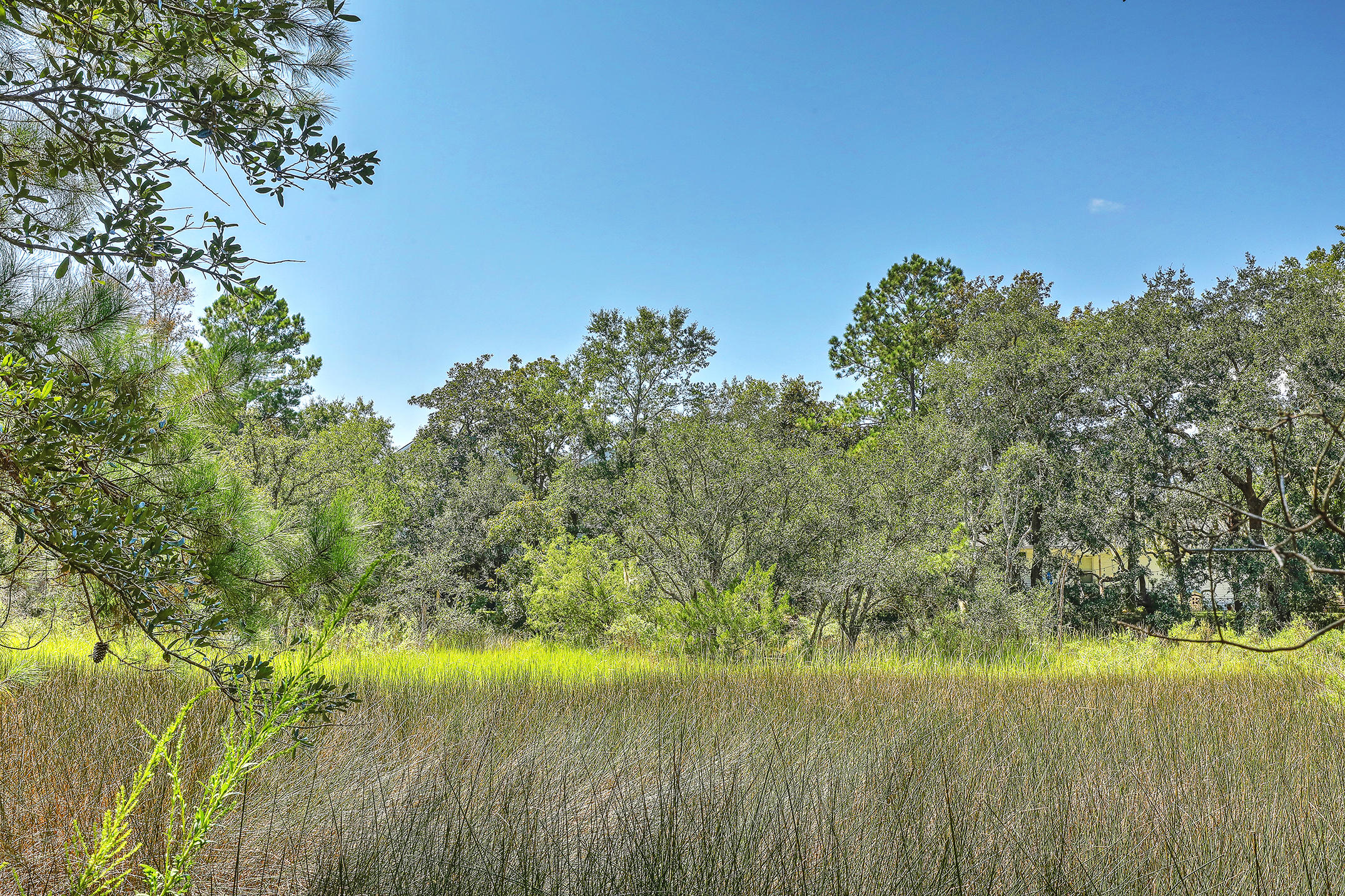 343 Canterbury Road Charleston, SC 29407 - Photo 23 of 23 1R3A7466_7_8