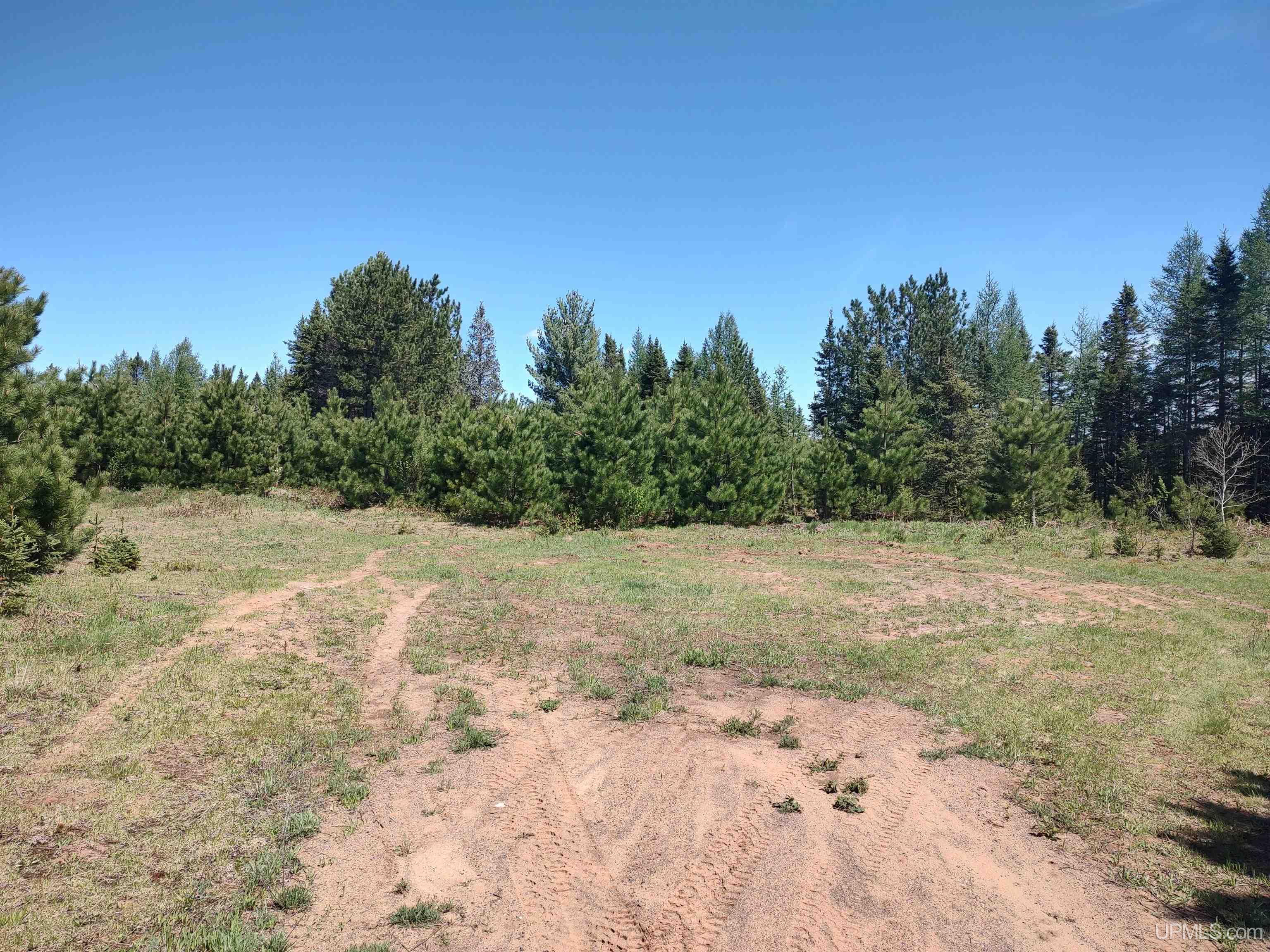 58-acres Co Rd Fn Road Champion, MI 49814 - Photo 19 of 27