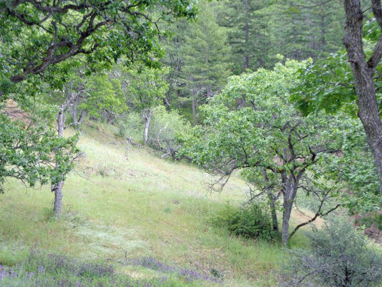 7660 Dead Indian Memorial Road Ashland, OR 97520 - Photo 8 of 8 Additional Photo