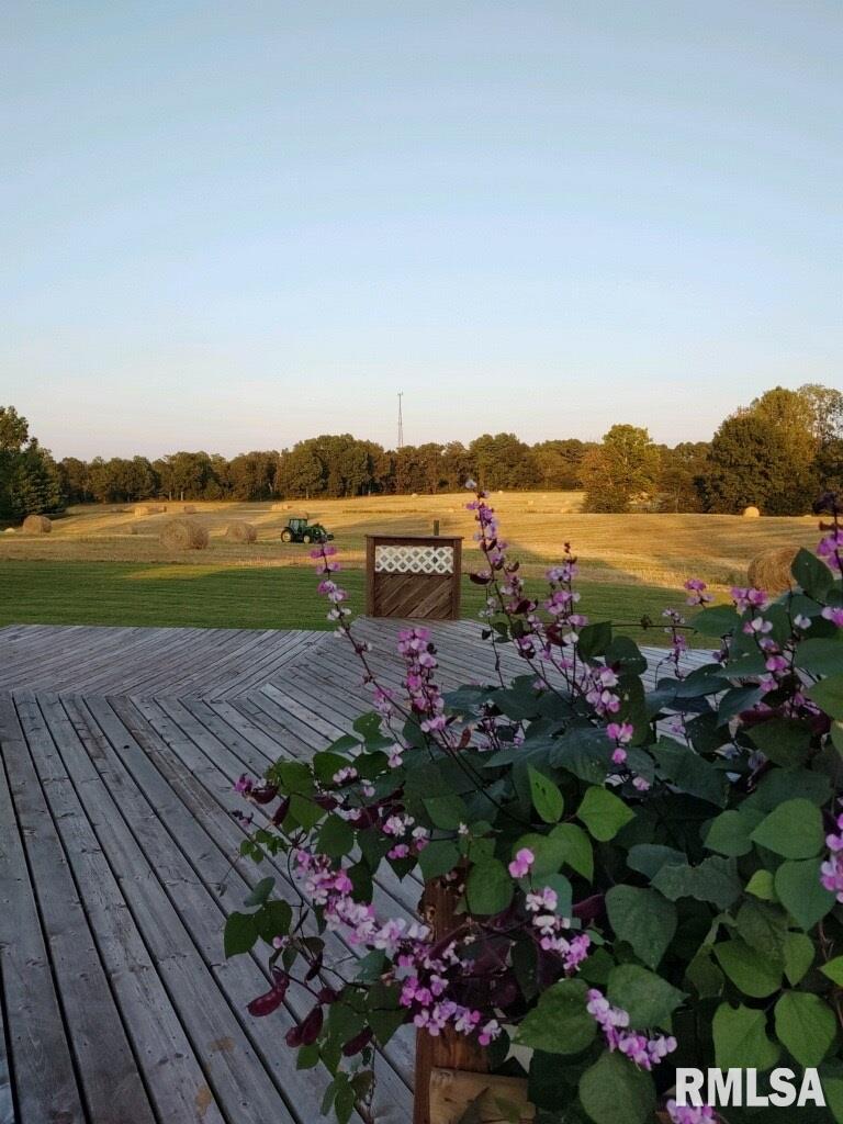 12590 Saraville Road Marion, IL 62959 - Photo 28 of 34