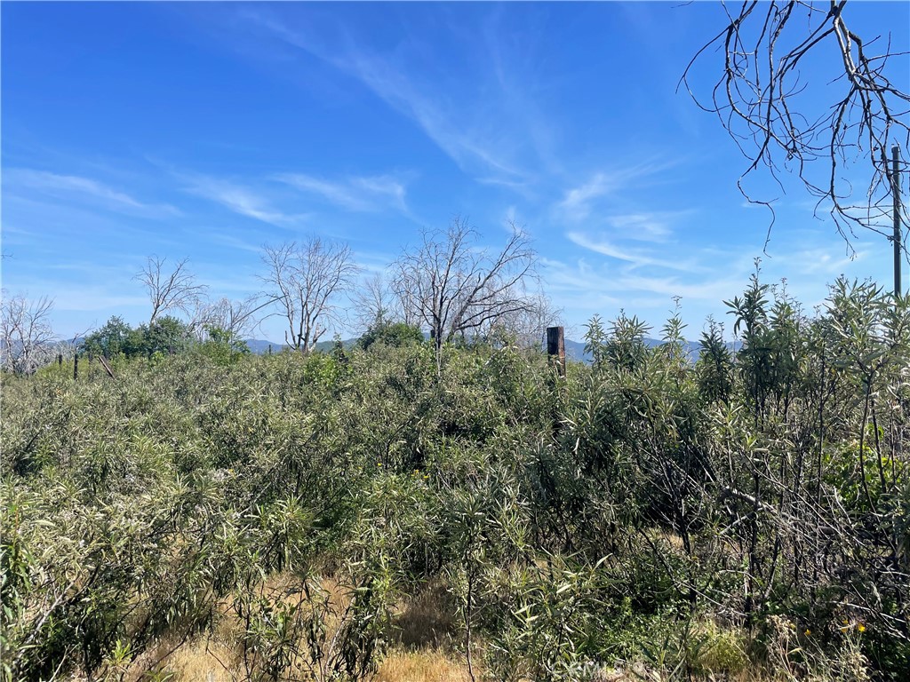 363 Raccoon Road Berry Creek, CA 95916 - Photo 14 of 27