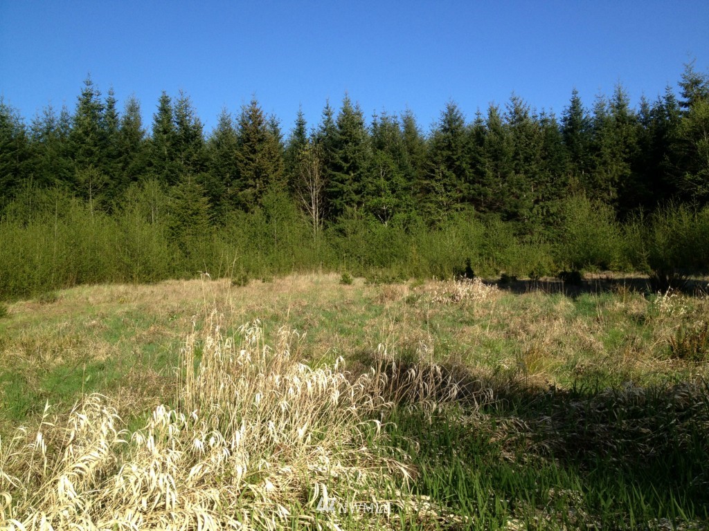 4264 East Quilcene Road Quilcene, WA 98376 - Photo 14 of 15
