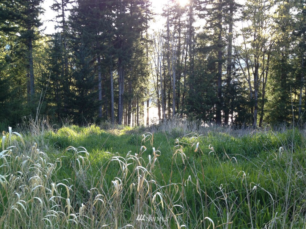 4264 East Quilcene Road Quilcene, WA 98376 - Photo 15 of 15
